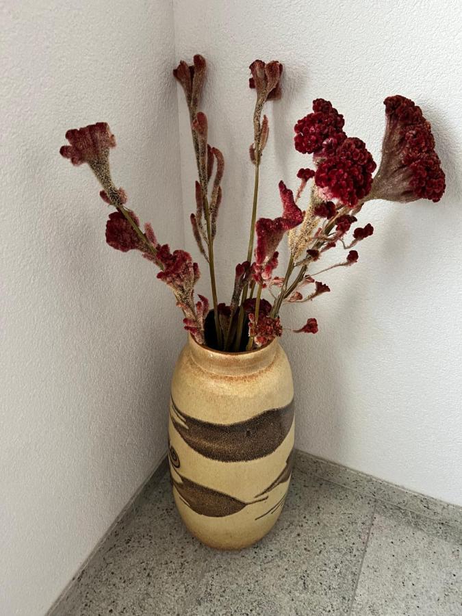 Veliko Brdo  Beslic Apartments מראה חיצוני תמונה